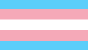 Transgender pride flag