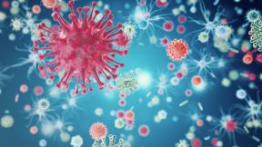 Viruses