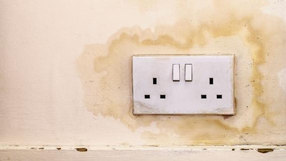 A plug socket in a damp wall.