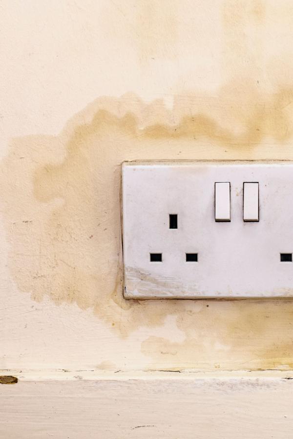 A plug socket in a damp wall.