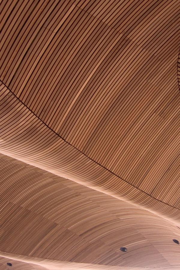 The ceiling of the Welsh Assembly building.