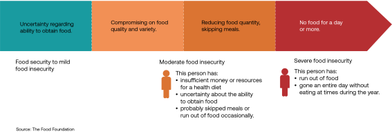 Food insecurity chart png version